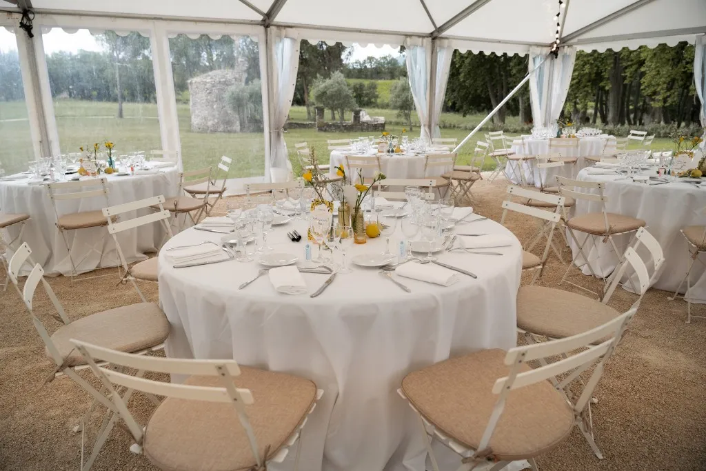 Photo 12 - CHATEAU DE TAULIGNAN