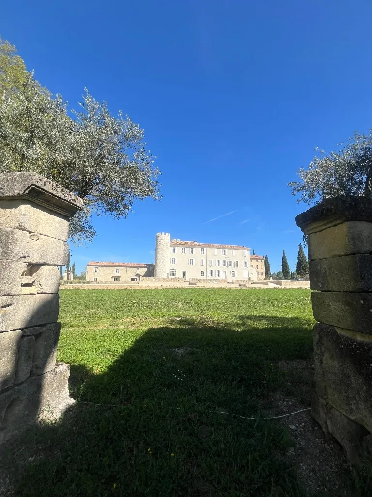 Photo 17 - CHATEAU DE TAULIGNAN