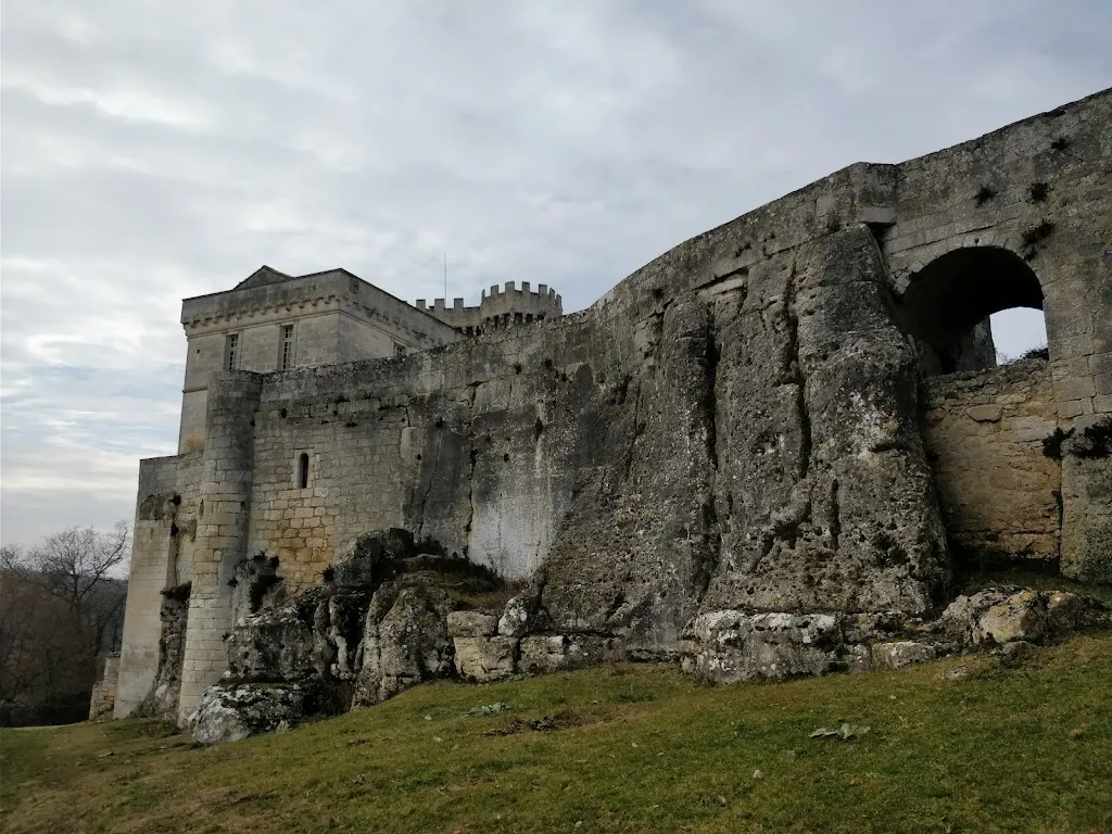 Photo 2 - CHATEAU DE LA TRANCHADE