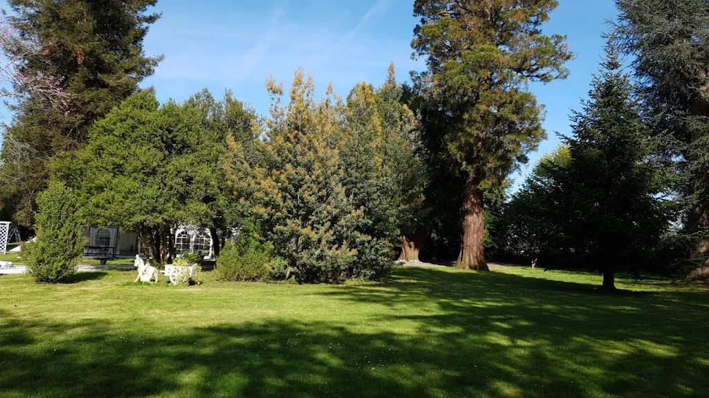 Photo 3 - Villa Corina Maison d'Hôtes Tarbes