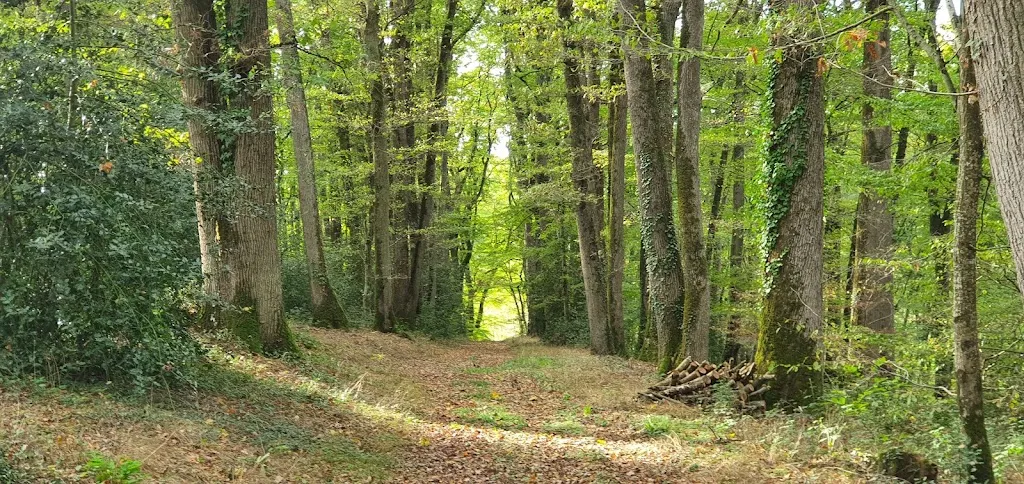 Photo 3 - Domaine de la Roderie