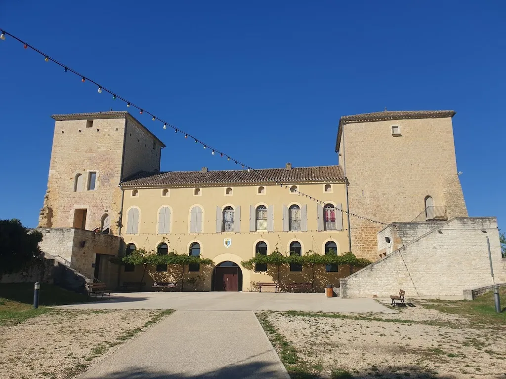 Photo 1 - Salle des fêtes du Château de Floressas