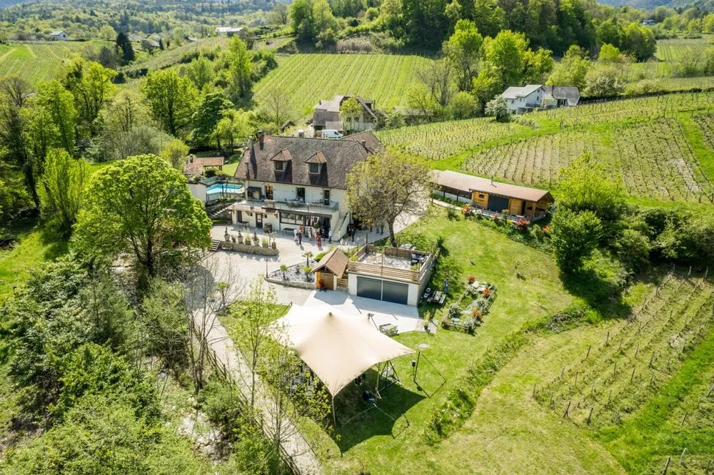 Photo 2 - L'étang de la Tourne