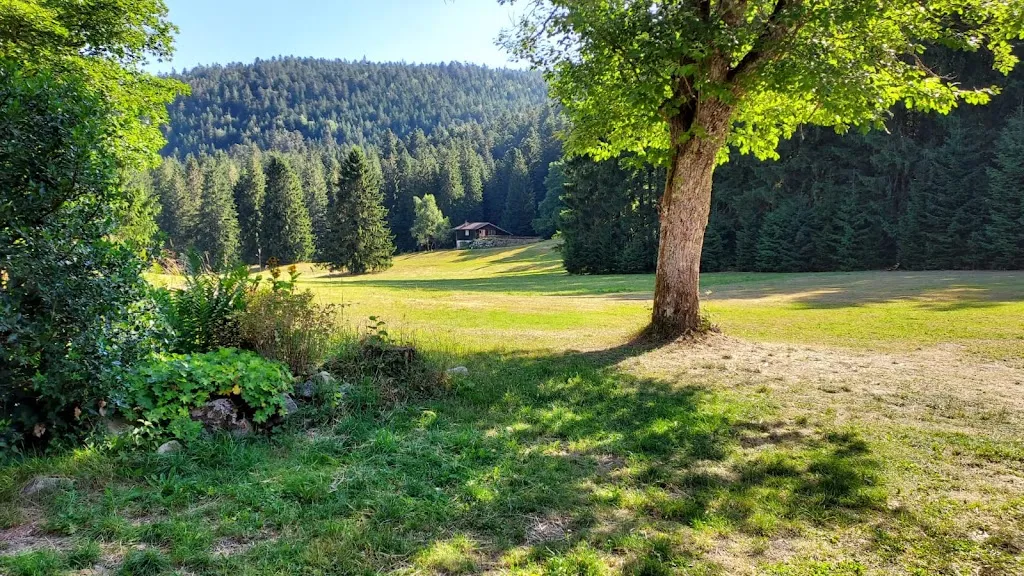 Photo 2 - Salle de Cellet dans les Vosges