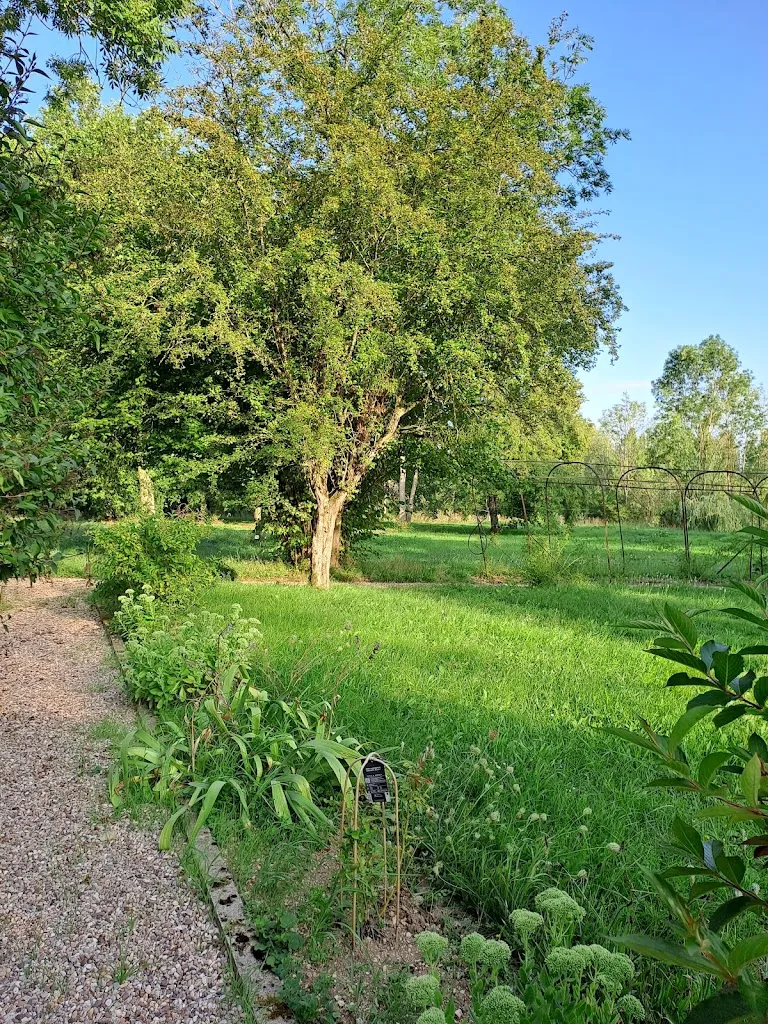 Photo 3 - Château des Aulnes