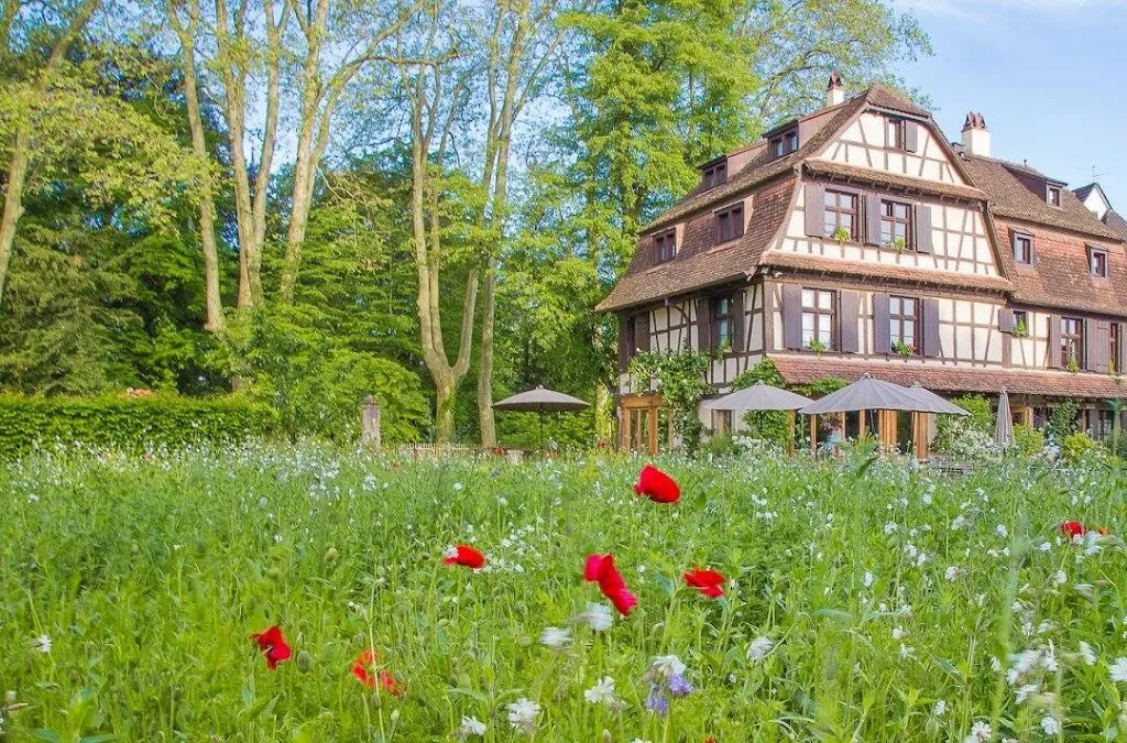 Du côté de chez Anne - Domaine de Mariage & Maison d'hôte
