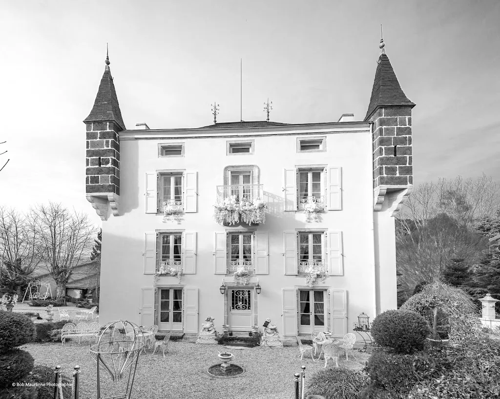 Photo 2 - Château du Maréchal Fayolle