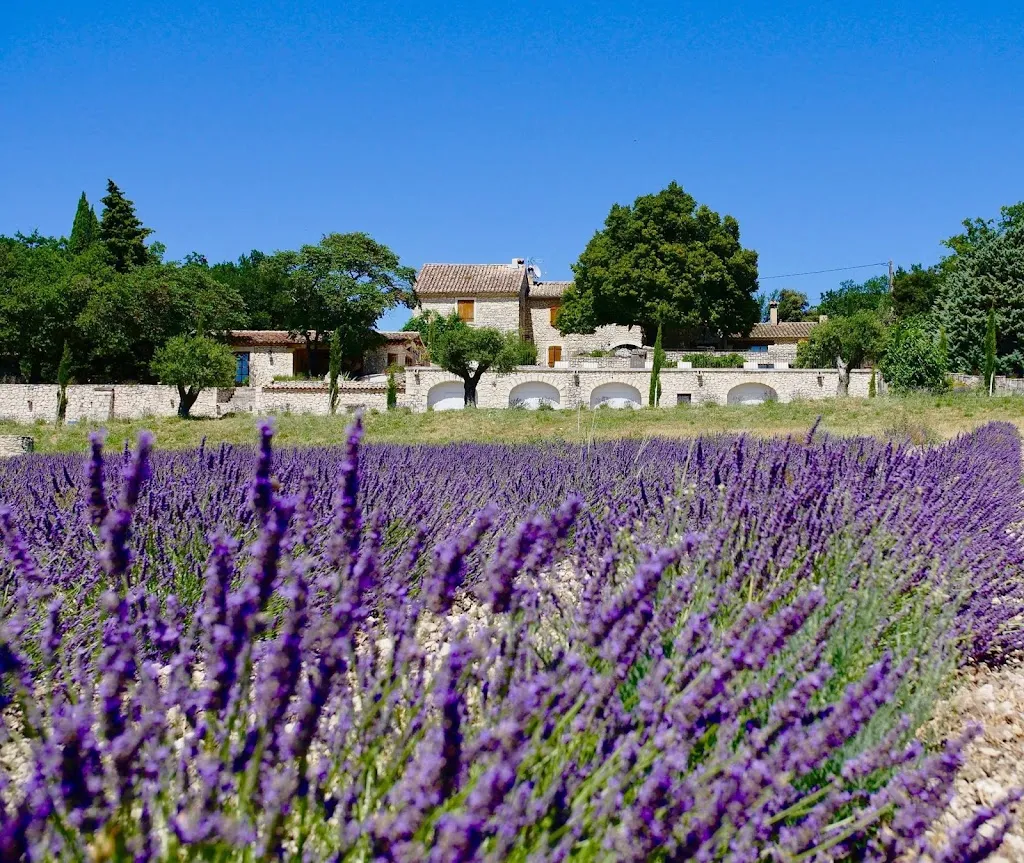 Photo 2 - Domaine des Grillons