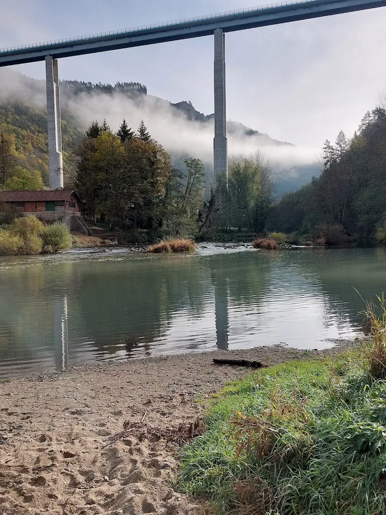 Photo 3 - Le Séquoia