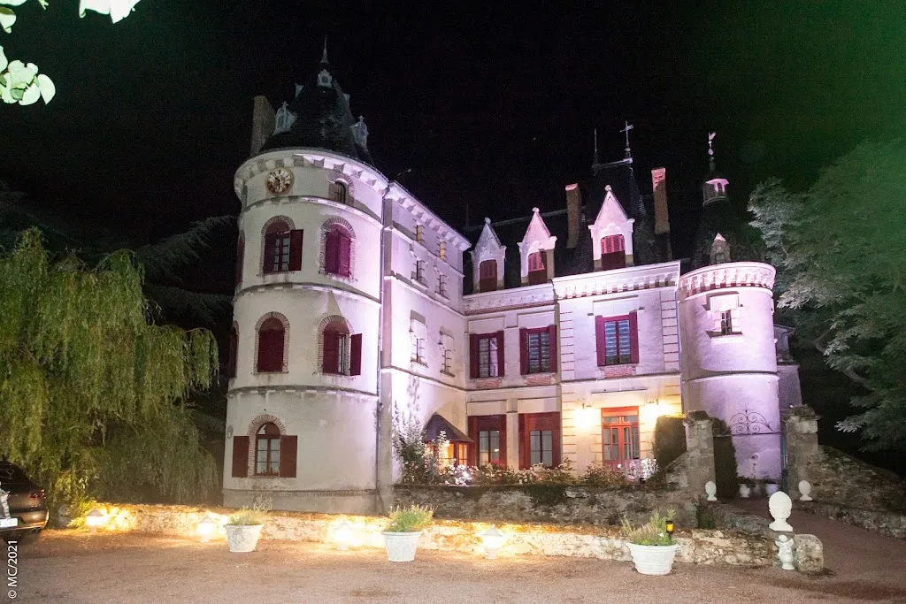 Photo 1 - Château des Landes