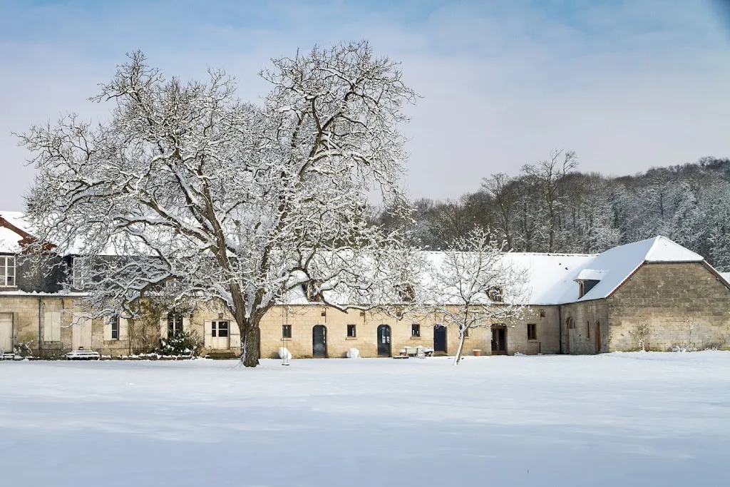 Photo 3 - Domaine du Bois Saint Mard