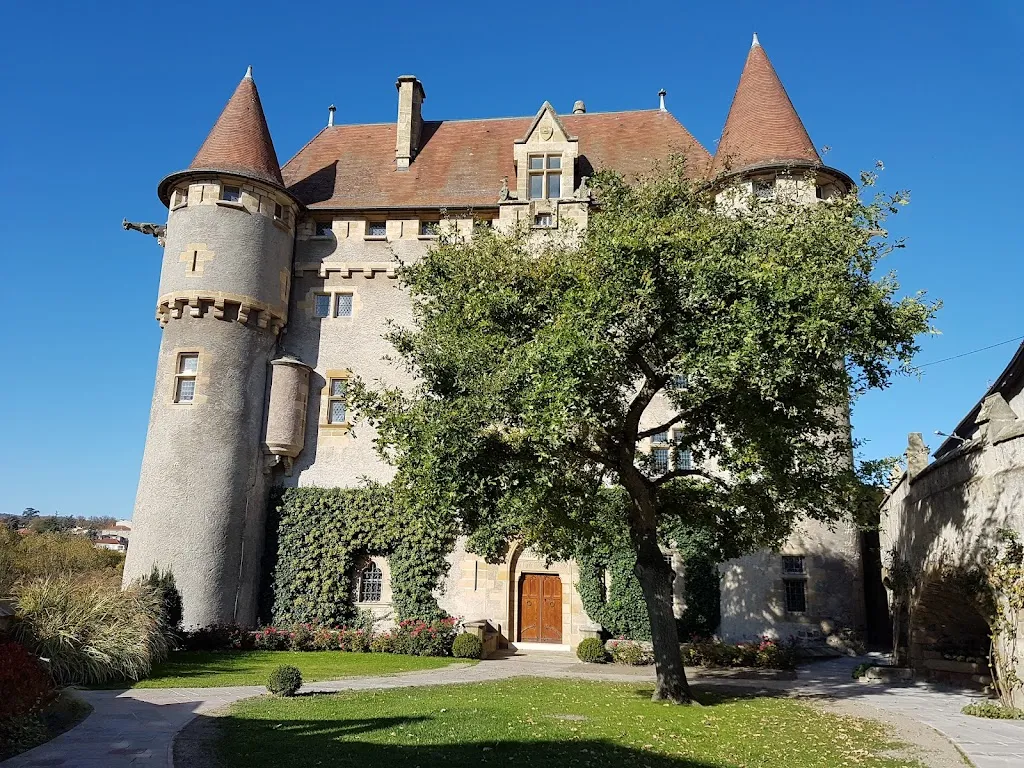 Photo 2 - Château de Murol en Saint-Amant