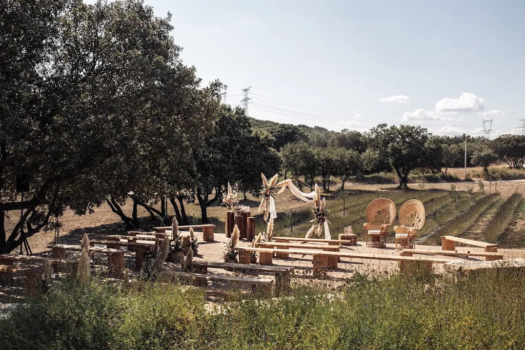 Photo 3 - DOMAINE LE GRAND BELLY