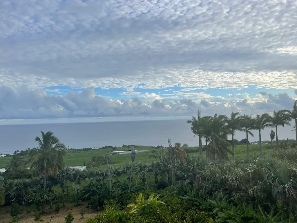 Photo 1 - Domaine des Mille cocos