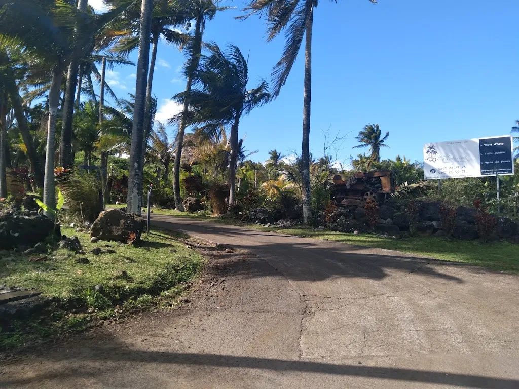 Photo 3 - Domaine des Mille cocos