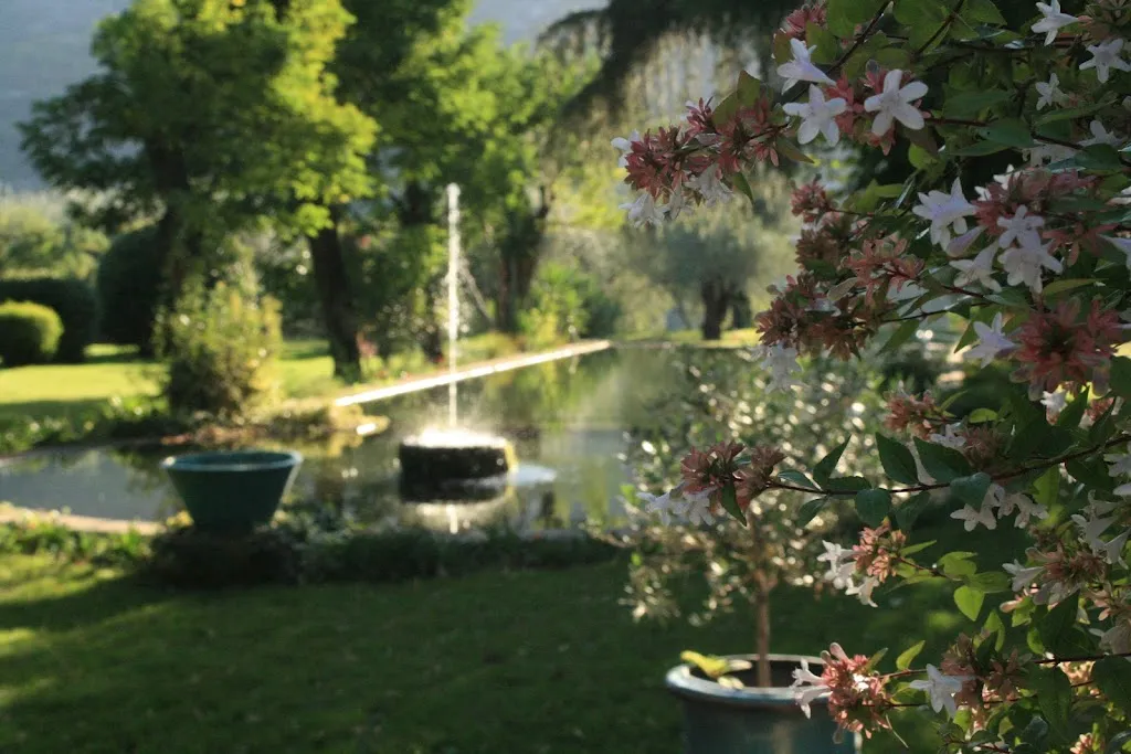 Photo 3 - Domaine du Riodam
