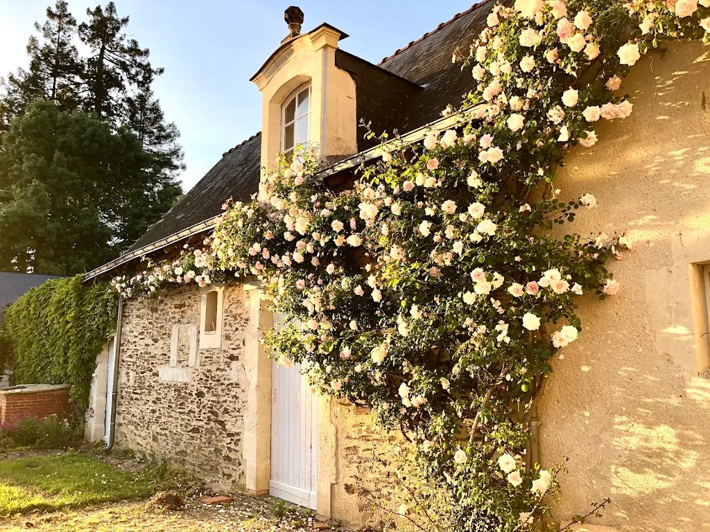 Photo 3 - Orangerie de Maulny