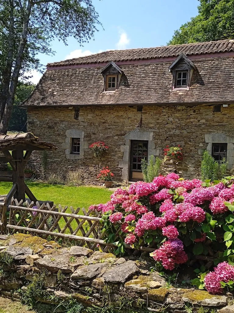 Photo 3 - Château de Brie