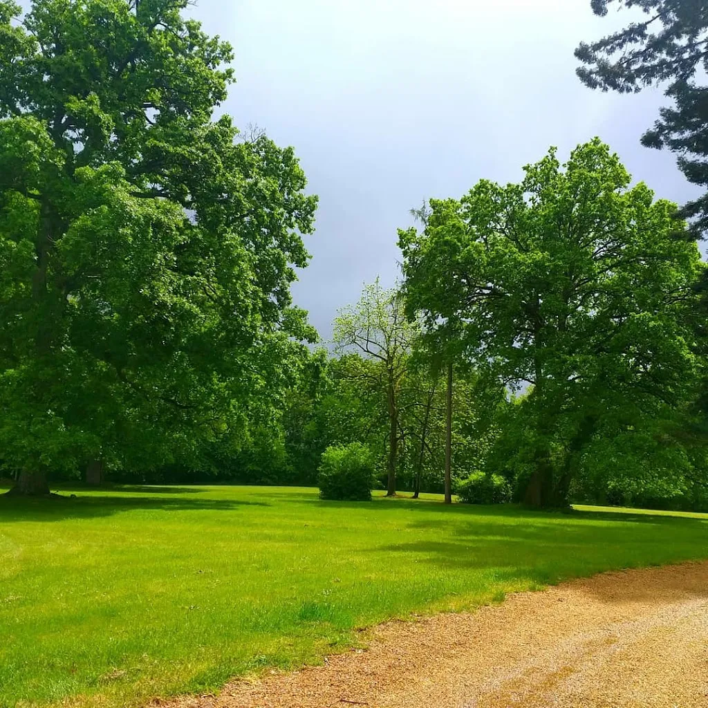 Photo 3 - Domaine de la Fougeraie