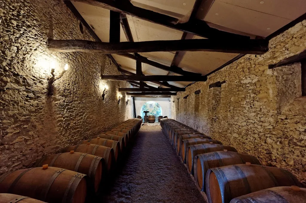 Photo 2 - Château Cassemichère