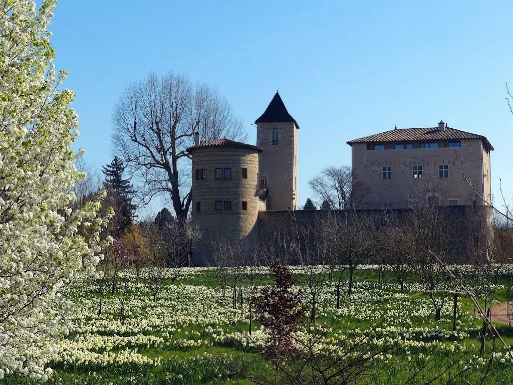 Photo 1 - Château de Saint Bernard