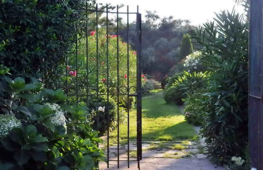 Photo 1 - Le Domaine de Vignale