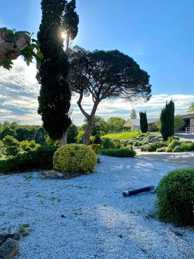Photo 2 - Domaine du Pigné
