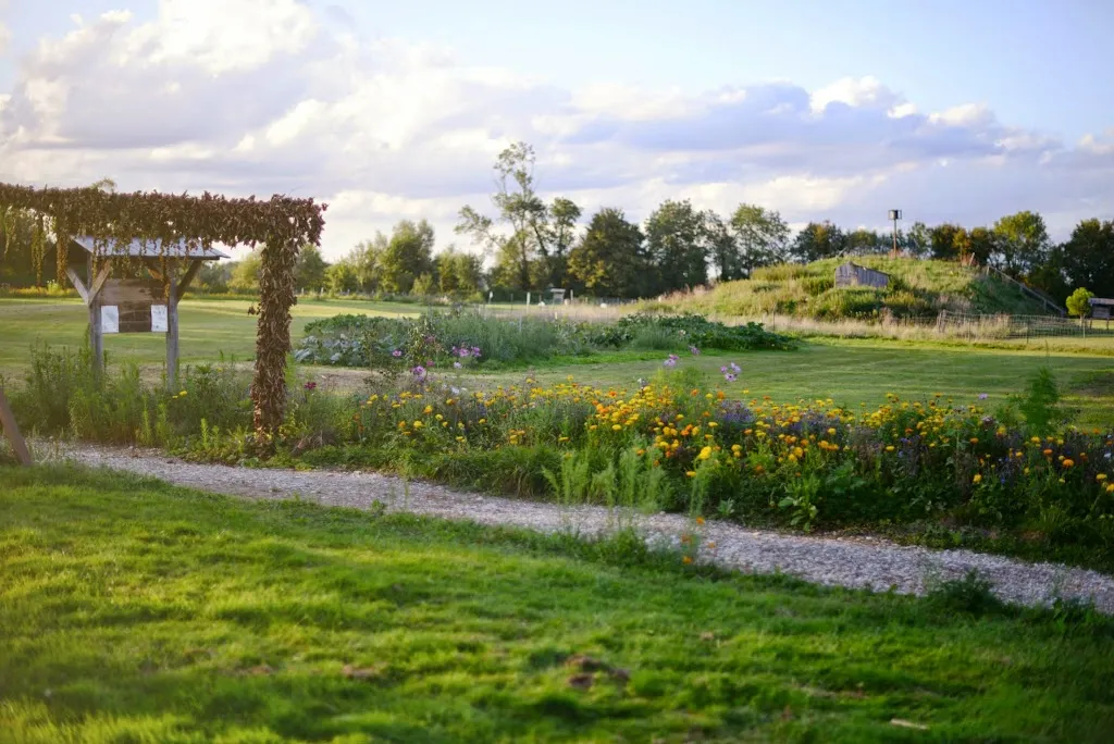 Photo 3 - Domaine Les Brouilles