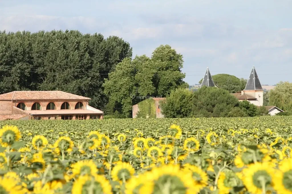 Photo 1 - Chateau de Mousens